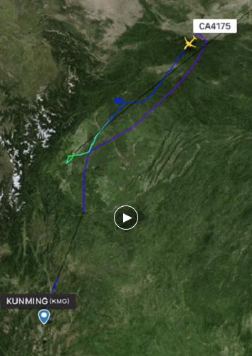 某航旅APP顯示，國航CA4175航班航行途中，調(diào)頭折返備降。 視頻截圖。