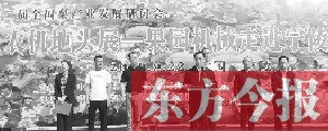 農(nóng)機(jī)地頭展 果園油炸出產(chǎn)線呆板走進(jìn)寧陵梨園